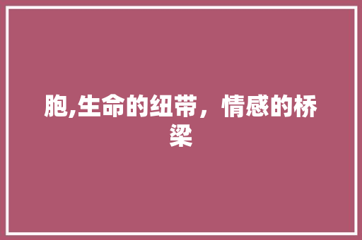 胞,生命的纽带，情感的桥梁