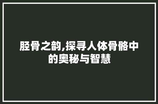 胫骨之韵,探寻人体骨骼中的奥秘与智慧
