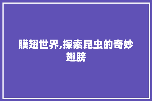 膜翅世界,探索昆虫的奇妙翅膀