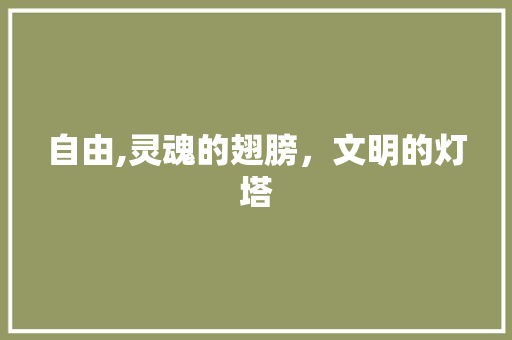 自由,灵魂的翅膀，文明的灯塔