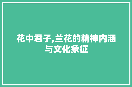 花中君子,兰花的精神内涵与文化象征