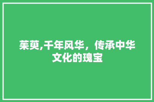 茱萸,千年风华，传承中华文化的瑰宝