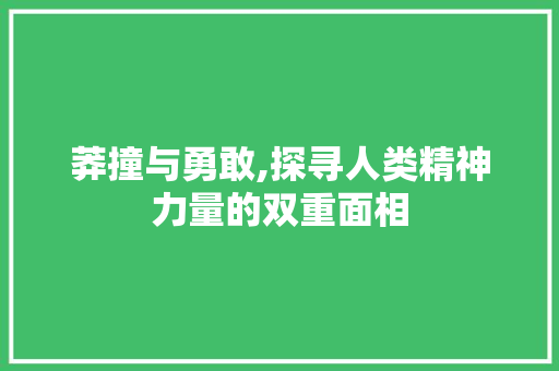 莽撞与勇敢,探寻人类精神力量的双重面相