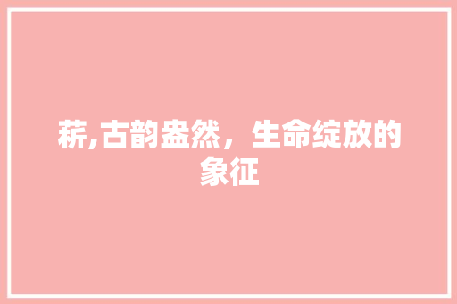 菥,古韵盎然，生命绽放的象征