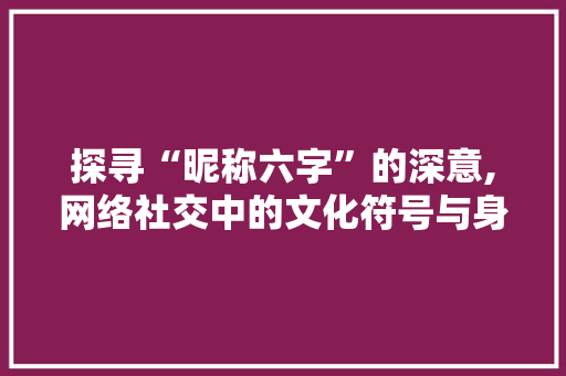 探寻“昵称六字”的深意,网络社交中的文化符号与身份认同