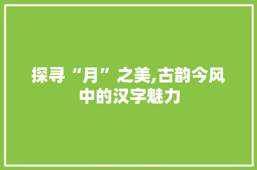 探寻“月”之美,古韵今风中的汉字魅力