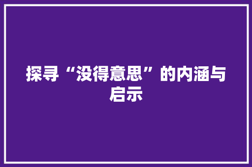 探寻“没得意思”的内涵与启示