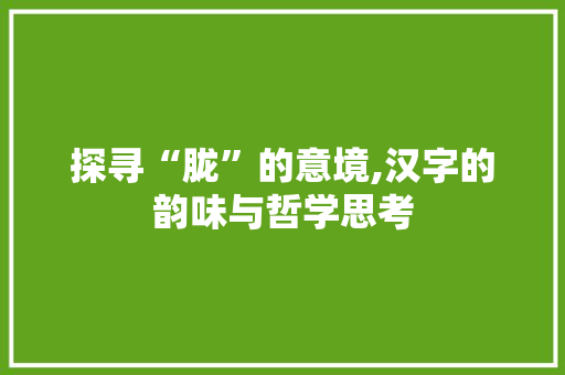 探寻“胧”的意境,汉字的韵味与哲学思考 近义词汇
