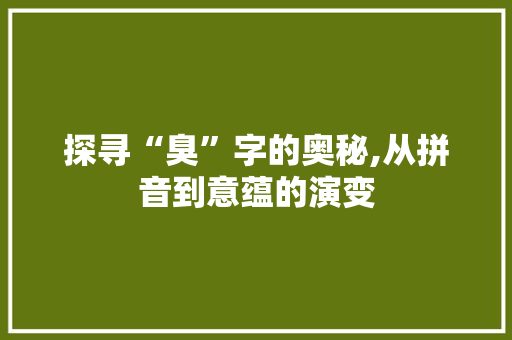 探寻“臭”字的奥秘,从拼音到意蕴的演变
