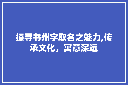 探寻书州字取名之魅力,传承文化，寓意深远