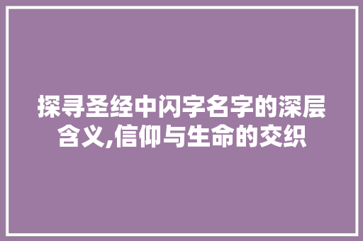 探寻圣经中闪字名字的深层含义,信仰与生命的交织
