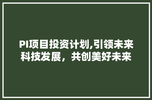 PI项目投资计划,引领未来科技发展，共创美好未来