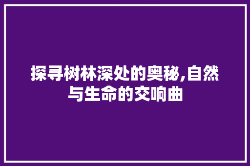 探寻树林深处的奥秘,自然与生命的交响曲