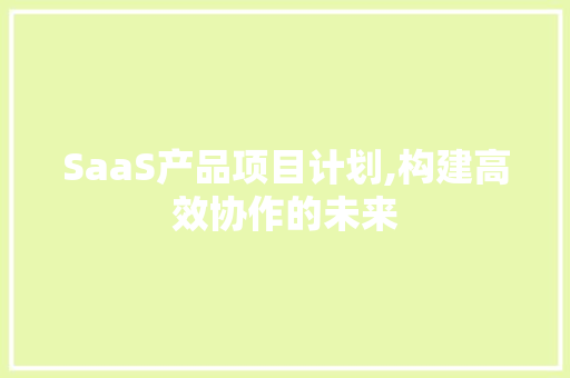 SaaS产品项目计划,构建高效协作的未来