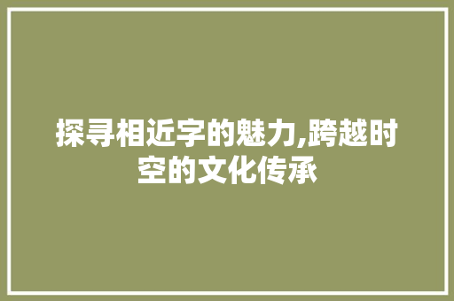 探寻相近字的魅力,跨越时空的文化传承