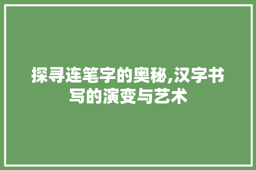 探寻连笔字的奥秘,汉字书写的演变与艺术