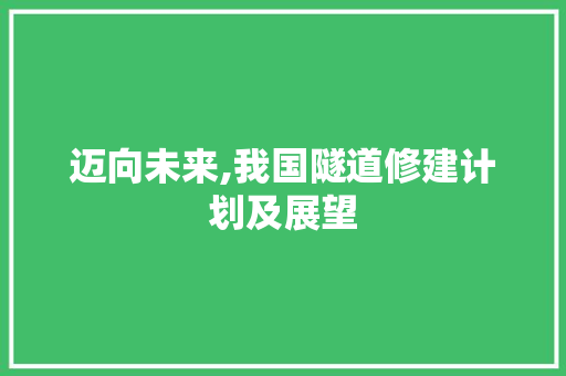 迈向未来,我国隧道修建计划及展望 诗词佳句