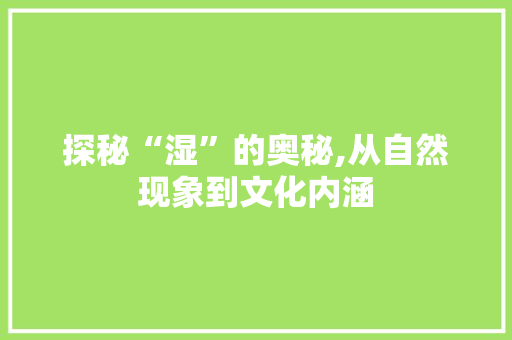 探秘“湿”的奥秘,从自然现象到文化内涵