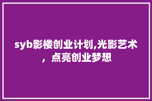syb影楼创业计划,光影艺术，点亮创业梦想