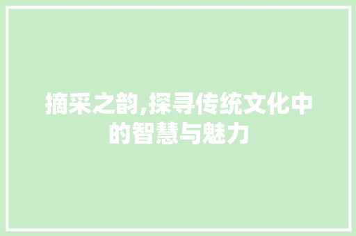 摘采之韵,探寻传统文化中的智慧与魅力