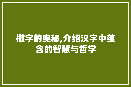撒字的奥秘,介绍汉字中蕴含的智慧与哲学