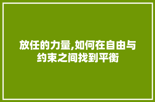 放任的力量,如何在自由与约束之间找到平衡