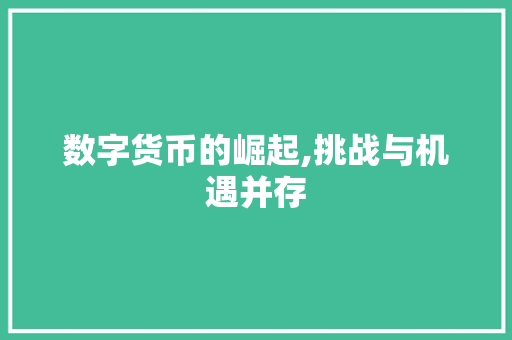 数字货币的崛起,挑战与机遇并存
