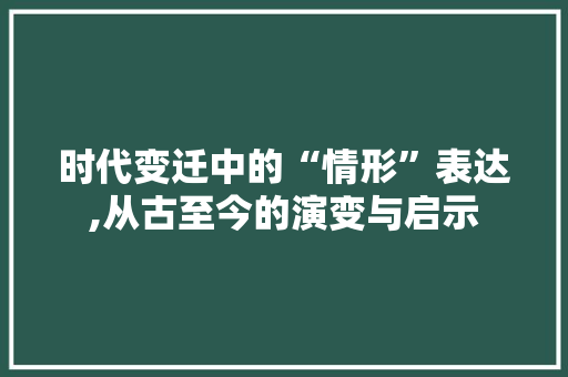 时代变迁中的“情形”表达,从古至今的演变与启示