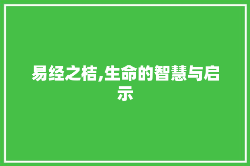 易经之桔,生命的智慧与启示