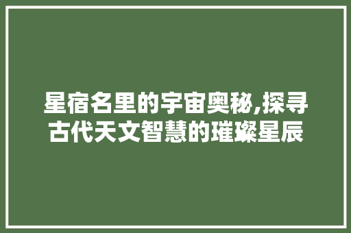 星宿名里的宇宙奥秘,探寻古代天文智慧的璀璨星辰