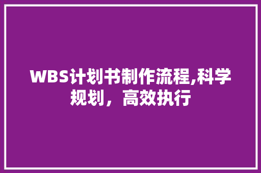 WBS计划书制作流程,科学规划，高效执行