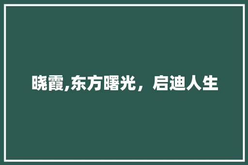 晓霞,东方曙光，启迪人生 成语汇编