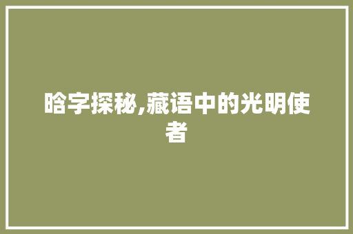 晗字探秘,藏语中的光明使者