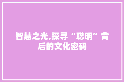智慧之光,探寻“聪明”背后的文化密码 英语单词