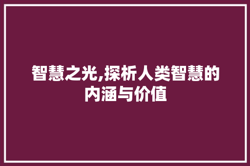 智慧之光,探析人类智慧的内涵与价值