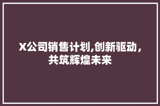 X公司销售计划,创新驱动，共筑辉煌未来