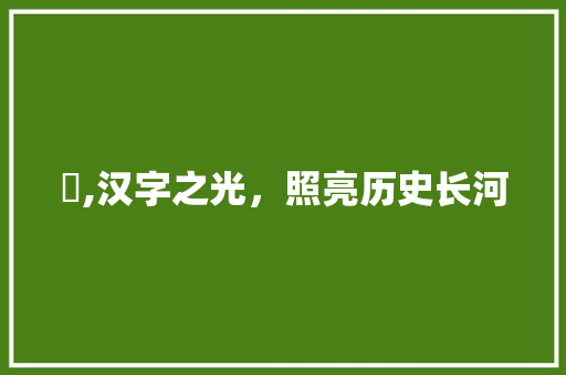 曌,汉字之光，照亮历史长河