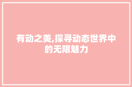 有动之美,探寻动态世界中的无限魅力