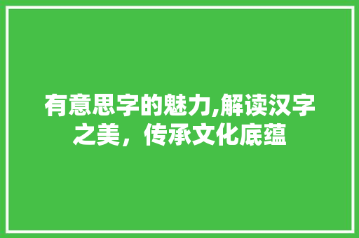 有意思字的魅力,解读汉字之美，传承文化底蕴