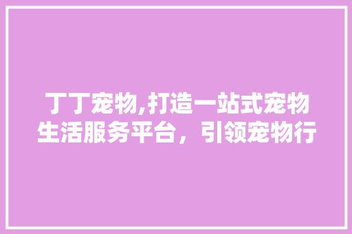 丁丁宠物,打造一站式宠物生活服务平台，引领宠物行业新潮流
