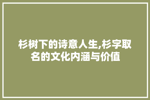 杉树下的诗意人生,杉字取名的文化内涵与价值