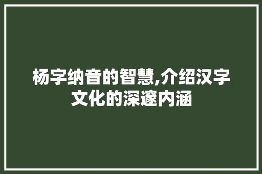 杨字纳音的智慧,介绍汉字文化的深邃内涵