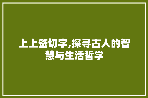 上上签切字,探寻古人的智慧与生活哲学