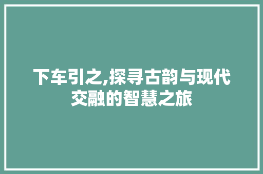 下车引之,探寻古韵与现代交融的智慧之旅