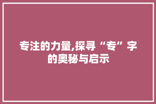 专注的力量,探寻“专”字的奥秘与启示