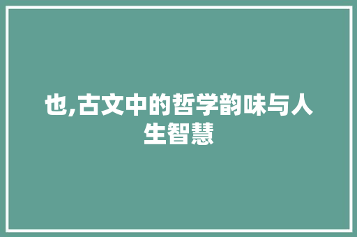 也,古文中的哲学韵味与人生智慧 近义词汇