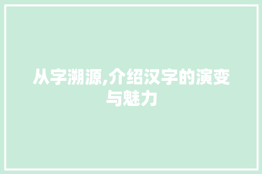 从字溯源,介绍汉字的演变与魅力