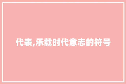 代表,承载时代意志的符号