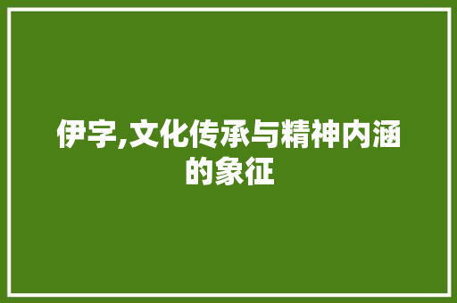 伊字,文化传承与精神内涵的象征