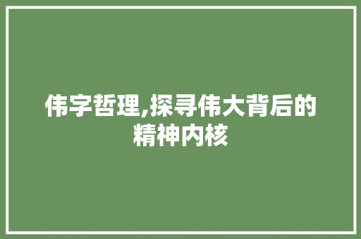 伟字哲理,探寻伟大背后的精神内核